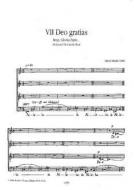 Gloria patri Nr. 7 op. 17 