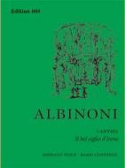 Il bel ciglio d'Irene 