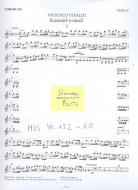 Konzert e-Moll P 109 