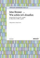 Drei Volkslieder Nr. 1: Wie schön ist's draussen Standard