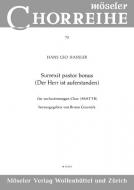 Surrexit pastor bonus Standard