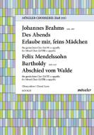 Des Abends / Erlaube mir / Abschied vom Walde Standard