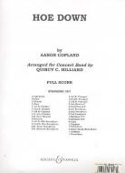 Rodeo No. 4 Hoe Down 