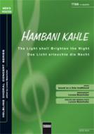 The light shall brighten the Night/Hambani Kahle 