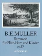 Serenade op. 15 