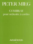 Combray pour orchestre a cordes 