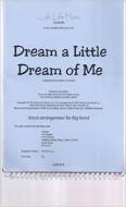 Dream A Little Dream Of Me 
