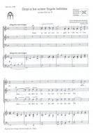 Denn er hat seinen Engeln befohlen über dir 