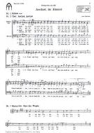 Jauchzet, ihr Himmel 