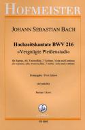 Hochzeitskantate BWV 216 'Vergnügte Pleissenstadt' 