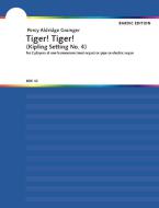 Tiger-Tiger 