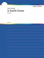 A Starlit Dome 