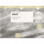 Renaissance VI Consort Music 