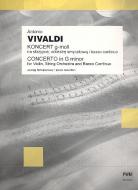 Concerto G Minor 