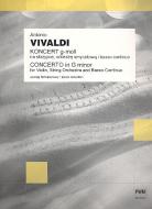 Concerto G Minor 