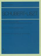 13 Lieder mit Text 