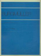 25 leichte Etüden op. 100 