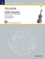Concerto piccolo Standard