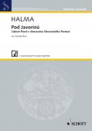 Pod Javorinú (Unter Javorina) Standard