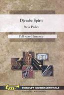Djembe Spirit 