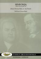 Sinfonia aus der Kantate BWV 156 