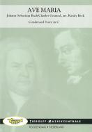 Ave Maria (Meditation) 