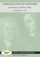 Hirondelles d'Autriche 