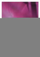 Gruss dir, Mariam, Sternenkrone 