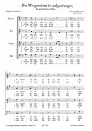 Der Morgenstern ist aufgedrungen 