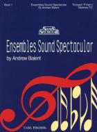 Ensembles Sound Spectacular 1 