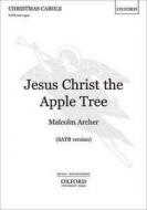 Jesus Christ the Apple Tree 