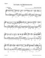 Ich hatte viel Bekümmernis 