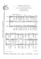 Abend am Niederrhein 