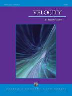 Velocity Standard