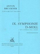 Symphony No.9 Kritischer Bericht 