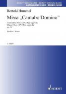 Missa 'Cantabo Domino' op. 16 Standard
