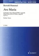 Ave Maria op. 97e, 2 Standard