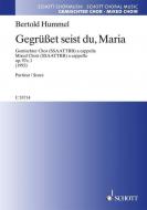Gegrüßet seist du, Maria op. 97e, 1 Standard