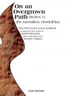 On An Overgrown Path 