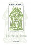 Don Bosco Santo 