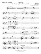 Largo From Symphony 'From The New World' 