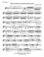 The Banks Of Newfoundland 