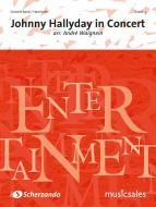 Johnny Hallyday in Concert 