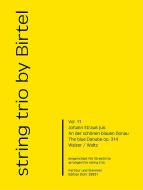 An der schönen blauen Donau 