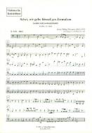 Sehet, wir gehn hinauf gen Jerusalem 