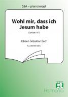 Wohl mir dass ich Jesum habe 