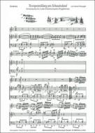 Trompetenklang am Schauinsland 