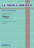 Allegro From Flute Quartet op.12 