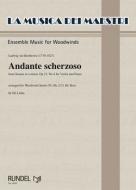Andante scherzoso 