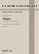 Allegro 